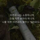 세종머리염색 네이버블로그