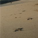 바다가 보이는 풍경 이미지