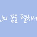 도레이배터리세퍼레이터필름한국(유) 이미지
