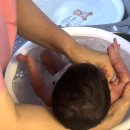 도미노피자 둔촌점 | 소피아 산후조리원 후기