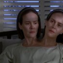 댄디농장 이미지