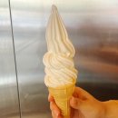 마마앤파파 | 안산 상록수 맛집 문어와 함께 <야들야들한 보약족발> 추천