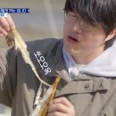 군산박대왕 이미지