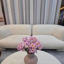 빌라드제이 이미지