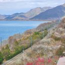 은산면 체육회관 화장실 | 2026 양산 원동 매화축제 주차 순매원 실시간 개화 매화명소