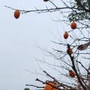 이의종동물병원 이미지