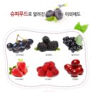 디스토리 이미지