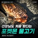 플라잉독 | 제주 광명호 배낚시 후기｜선장님도 처음 봤다는 포켓몬 물고기, 플라잉 거너드일까?