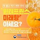 미래향 - 강남구 도곡로 443 | 미래향