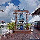 칸쿤 | 칸쿤 정글투어 후기 꿀팁 신혼여행 액티비티 추천