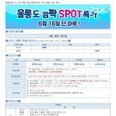 이제이플라워