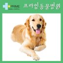 구리동물병원 이미지