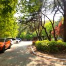 독상성 서문주차장 (세마대) 네이버블로그