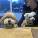 캠프위드커피