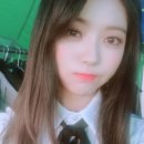 콩두네 이미지