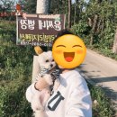 윤씨네 별장 이미지