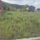 송산일사천리공인중개사사무소 이미지