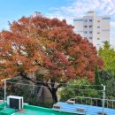 부산광역시 동구도서관 이미지