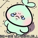 고려자동차 이미지