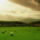 이브헤어 이미지