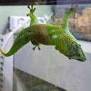 자연생태공원 자연생태박물관 이미지