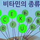 비타민 (Vitamin) ! 우리 몸에 꼭 필요한 (Vital) 물질 (amine) ! 이미지