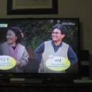 성균농장 Daum카페