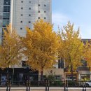 스마일 헤어센스 | 안국역 사진관 추천! 치즈스마일스튜디오 촬영 후기.