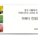 라뷰티 이미지