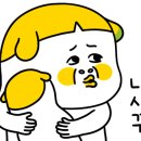 스페스11 이미지