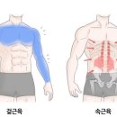 믹스짐필라테스