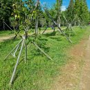 (유)영신정비 이미지