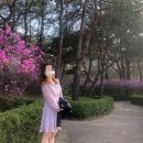 웜웨이브 이미지