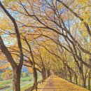 박은순외1명.13코스안양천상류 2025.11.26.(수) 이미지