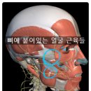 닥터스한의원 | 부산안면비대칭후기? 이제 마음껏 웃을 수 있어요.