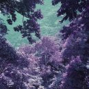 내 안에 시를 담다 이미지