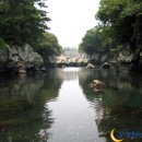 태우 이미지