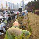 온양4동 온천대로 이미지