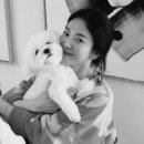 안성수지산업 이미지