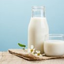 기구필라테스더존 이미지