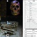 석영1호 | 1만2천년 전 베트남에서 일어난 석영 화살 살인사건?