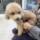 트윈스동물병원 이미지