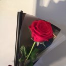 가드니아아뜰리에 이미지