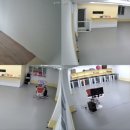 댕댕큘럼 이미지