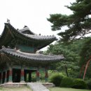 헌인릉 | 헌인릉 방문 후기: 역사 속으로 빠져들다