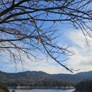 스와니 펜션 이미지