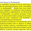 Tendon Injury and Tendinopathy: Healing and Repair 이미지