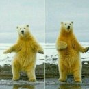 트루헤어