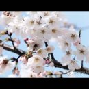 04/29 오늘의 묵상 (은혜를 잊은 백성, 고집스러운 불순종) 이미지