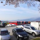 오섬권역농어촌체험휴양마을 | 구례 벚꽃 여행 섬진강 벚꽃길 벚꽃터널 구례 300리 벚꽃축제